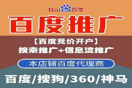 行业领先企业的SEM广告策略与效果分析